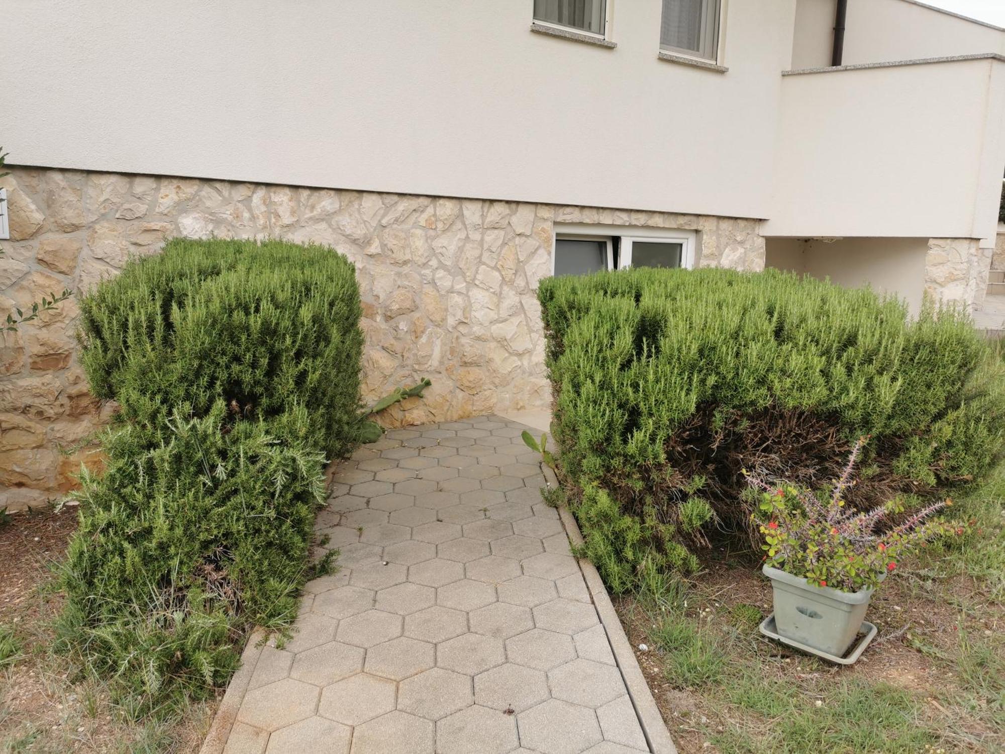 Apartments Riva Povljana Exterior foto